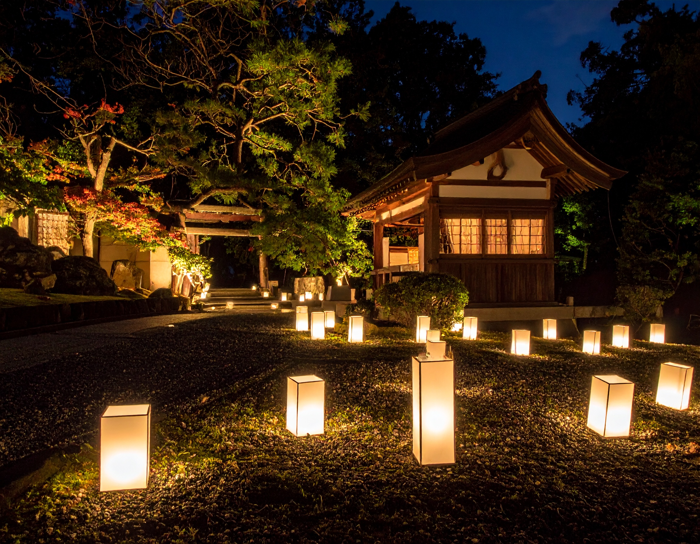 葬儀で故人を偲ぶ「中島みゆき」名曲選：「糸」「時代」歌詞の意味と選び方